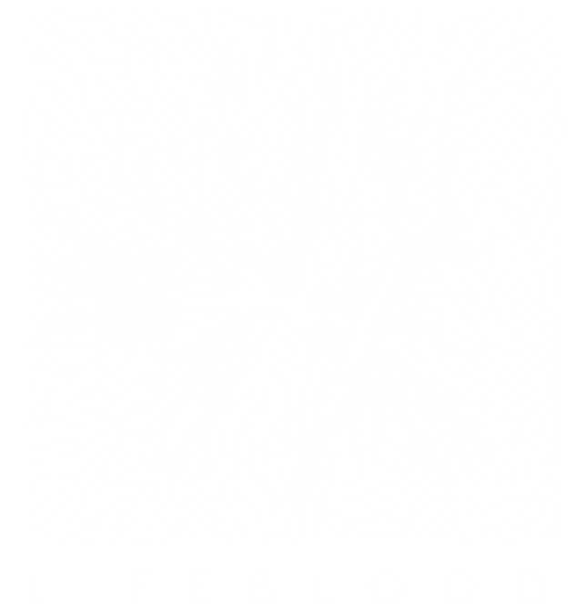 LIFEBlood Solution Dashboard